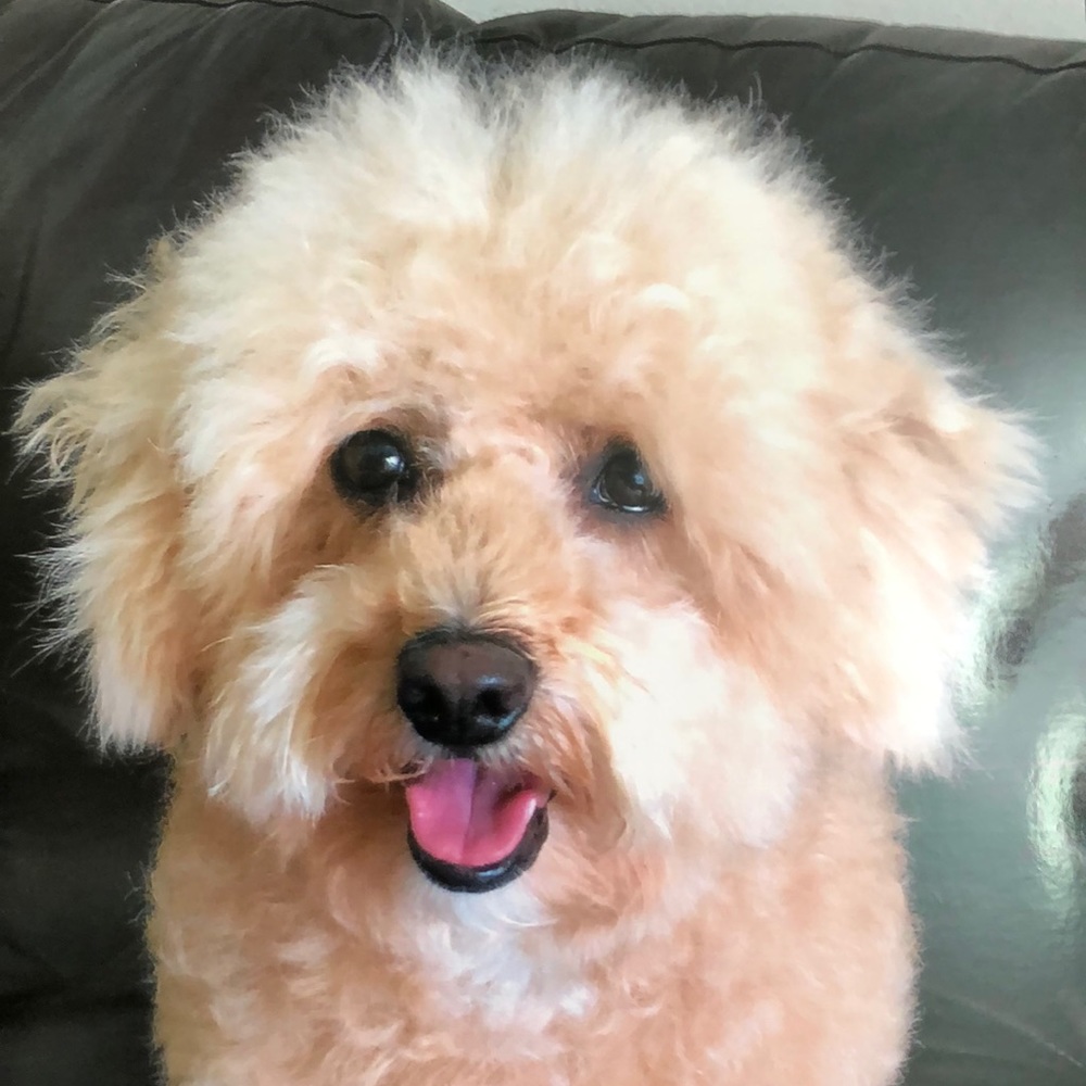 Meet your Posher, Cindy
